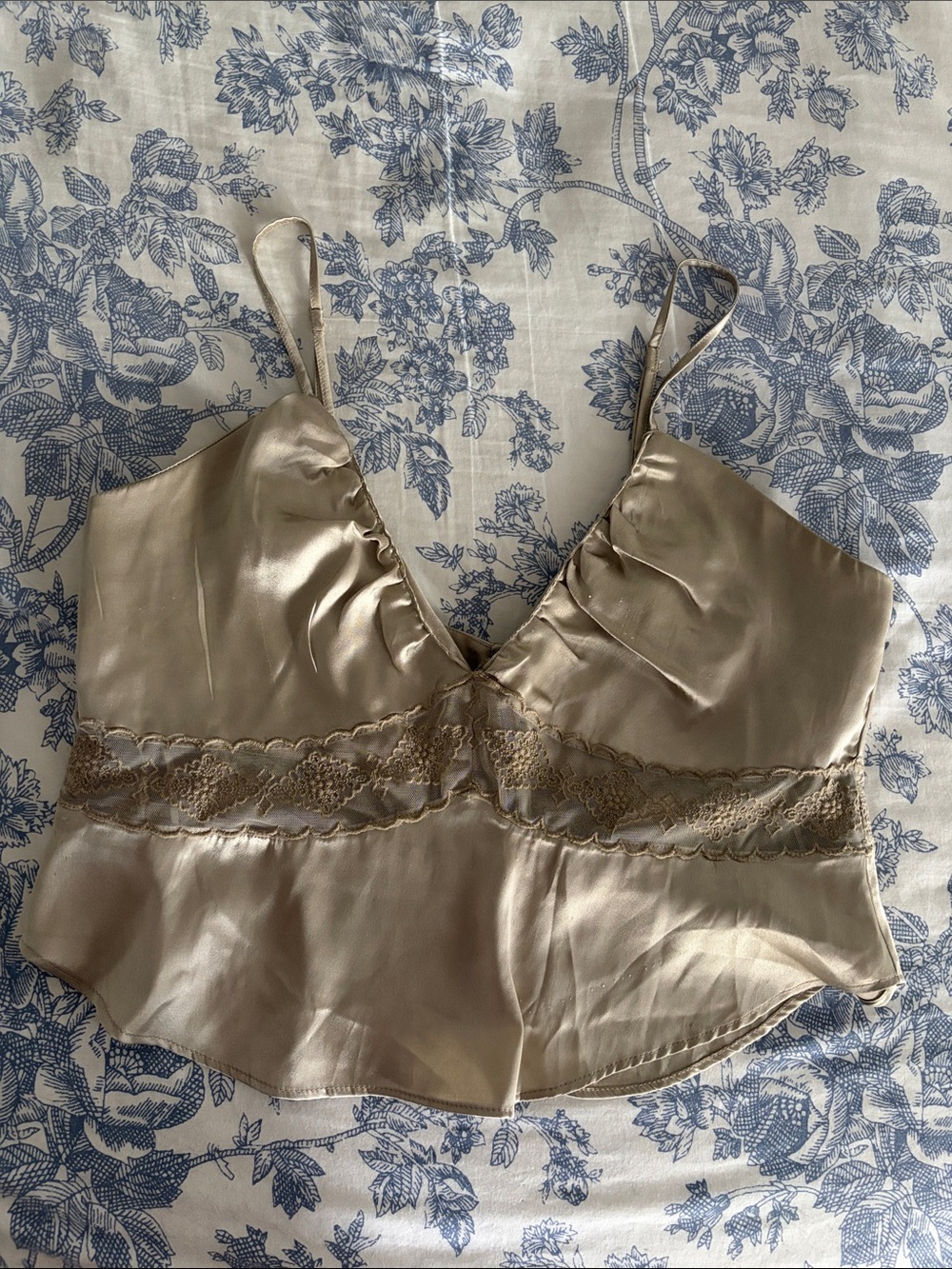 Free People Satin Lace Trim Camisole in Champagne